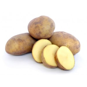 Agria Seed Potatoes 1kg | Seed Potatoes | New Products