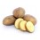 Agria Seed Potatoes 1kg