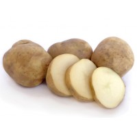 Ilam Hardy Seed Potatoes 1kg | Seed Potatoes | New Products