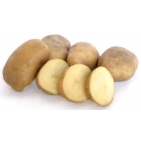 Jersey Bennes Seed Potatoes 1kg