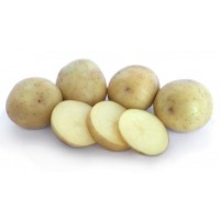 Nadine Seed Potatoes 1kg | Seed Potatoes | New Products