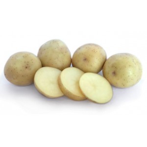 Nadine Seed Potatoes 1kg | Seed Potatoes | New Products