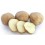 Rocket Seed Potatoes 1kg