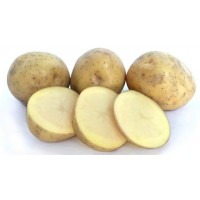 Swift Seed Potatoes 1kg | Seed Potatoes | New Products