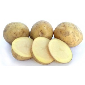 Swift Seed Potatoes 1kg | Seed Potatoes | New Products