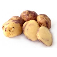 Huakaroro Maori Seed Potatoes 1kg | Seed Potatoes | New Products