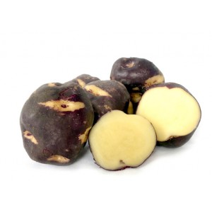 Karuparera Maori Seed Potatoes 1kg | Seed Potatoes | New Products