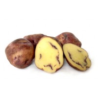 Moemoe Maori Seed Potatoes 1kg | Seed Potatoes | New Products