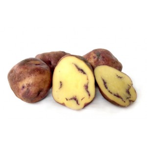 Moemoe Maori Seed Potatoes 1kg | Seed Potatoes | New Products