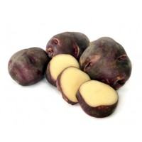 Waiporoporo Maori Seed Potatoes 1kg | Seed Potatoes | New Products