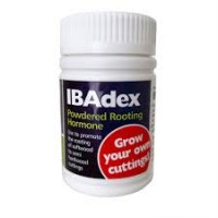 IBAdex Cloning Powder 25g | Propagation | Rooting Gel, Scalpels & Substrates 